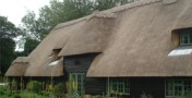 New thatch roof